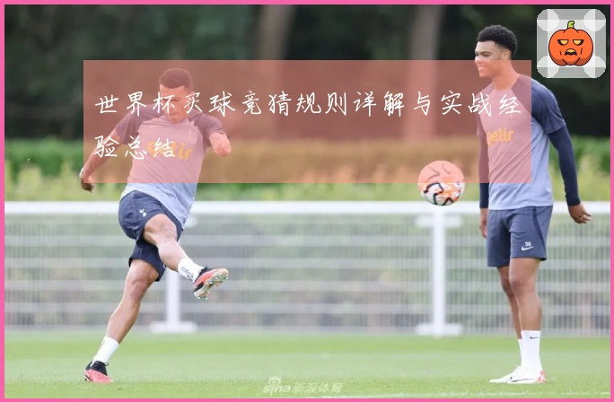 世界杯买球竞猜规则详解与实战经验总结