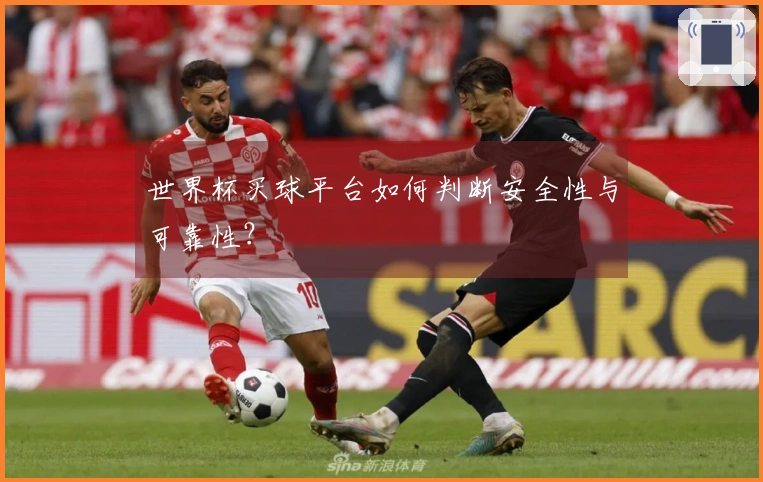 世界杯买球平台如何判断安全性与可靠性？