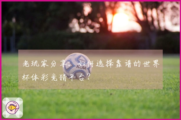 老玩家分享：如何选择靠谱的世界杯体彩竞猜平台？
