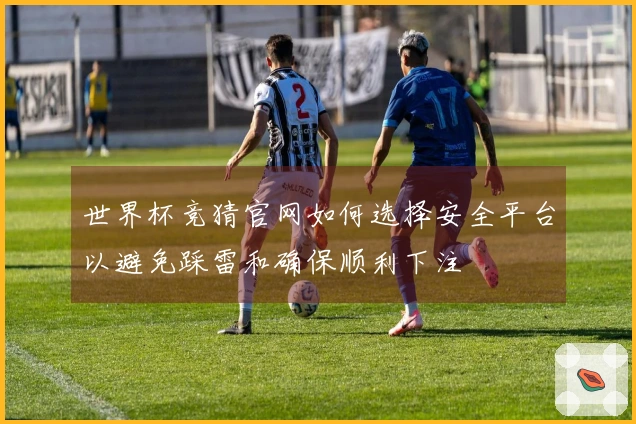世界杯竞猜官网如何选择安全平台以避免踩雷和确保顺利下注